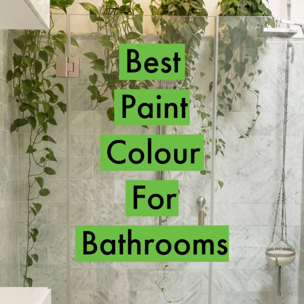 Best Paint Colour For Bathrooms