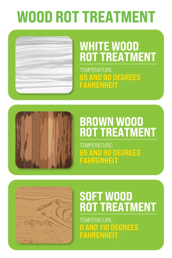 Wood Rot Treatment Infographics