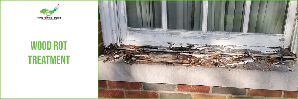 Wood Rot Treatment Banner