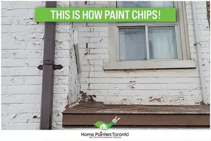 This Is How Paint Chips