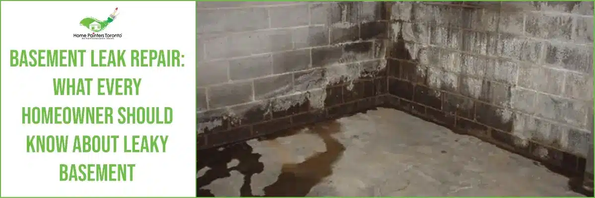 Basement Leak Repair What Every Homeowner Should Know About Leaky Basement Banner