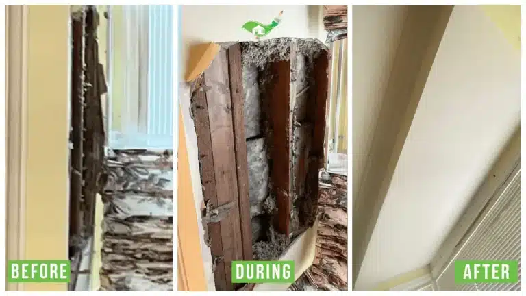 Drywall and Plaster Repair - After