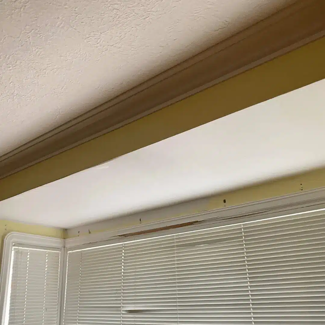 Drywall and Plaster Repair