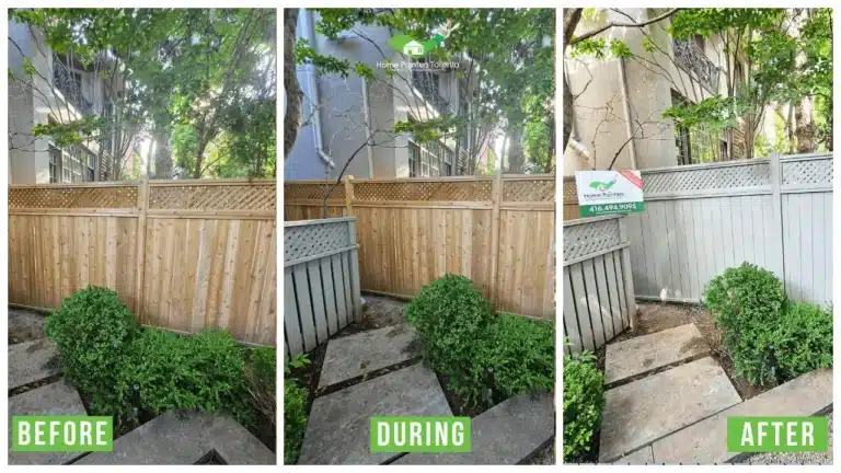 Garage Door Repair and Fence Staining - Before and After
